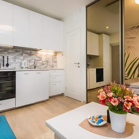 Cozy Vaivorykstes Apartman Palanga