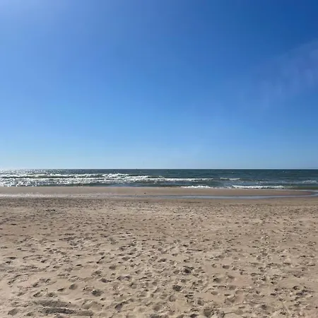 Cozy Vaivorykstes * Palanga