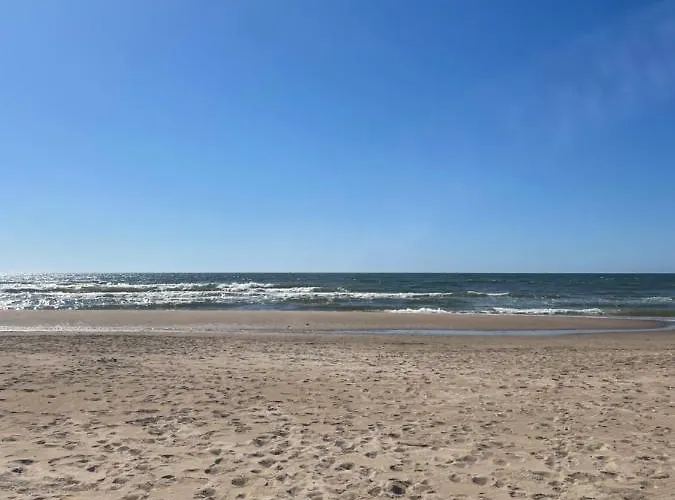 Cozy Vaivorykstes * Palanga